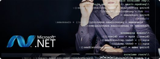 Microsoft .NET Development, .NET Consulting
